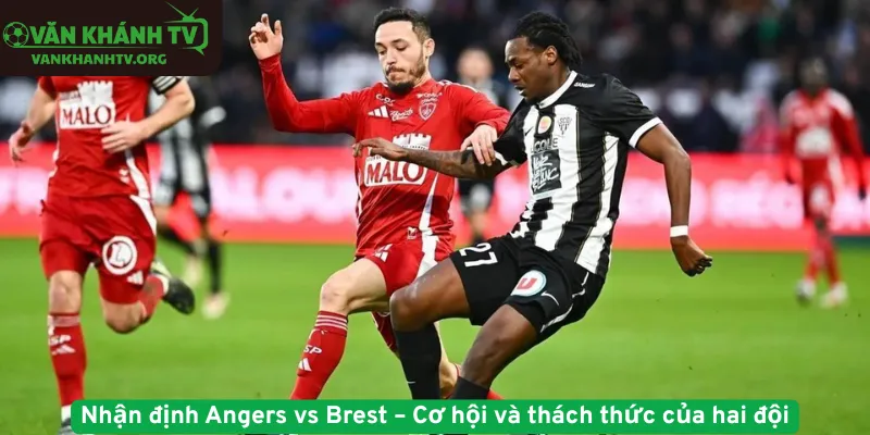 Nhận định Angers vs Brest – Cơ hội và thách thức của hai đội
